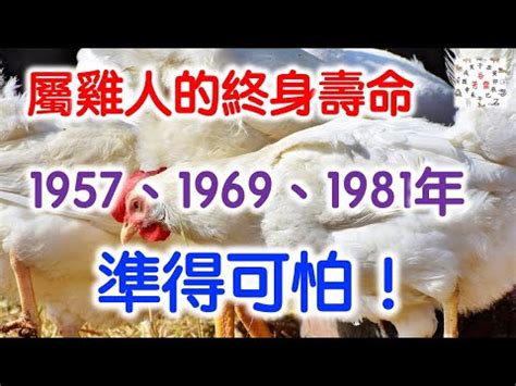 81年屬雞|1981年屬雞的是什么命五行 早年艱辛晚年富貴